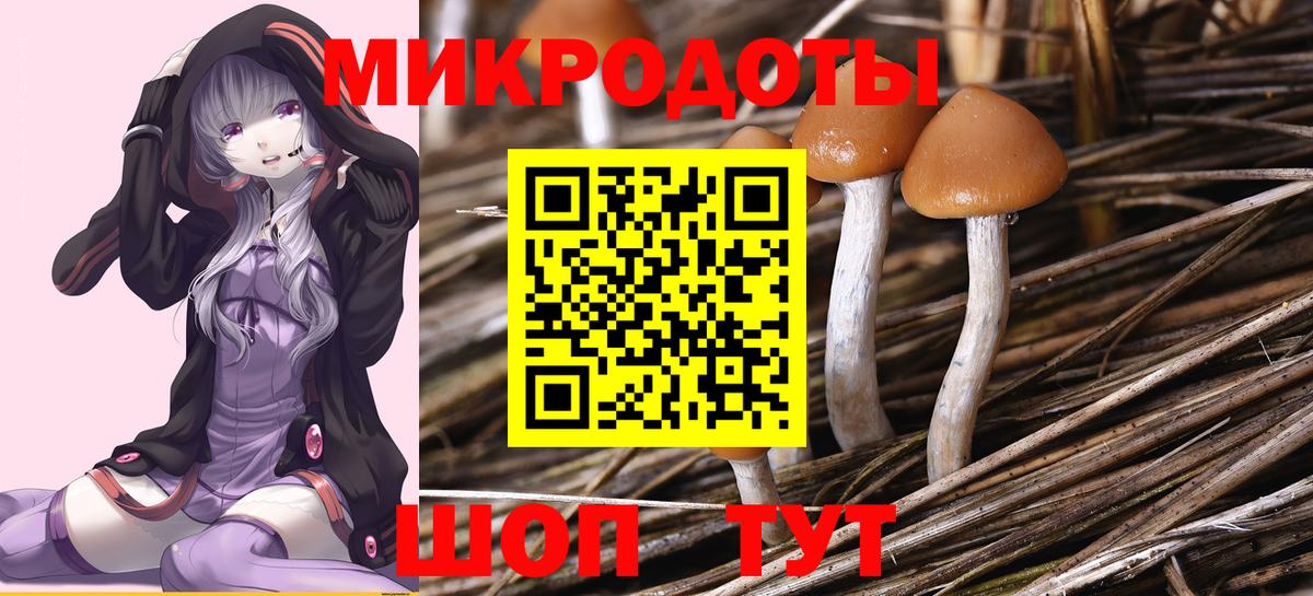 Ногинск  Галлюциногенные грибы ЛСД  Галлюциногенные грибы Psilocybe  где найти   Вход с VPN 
