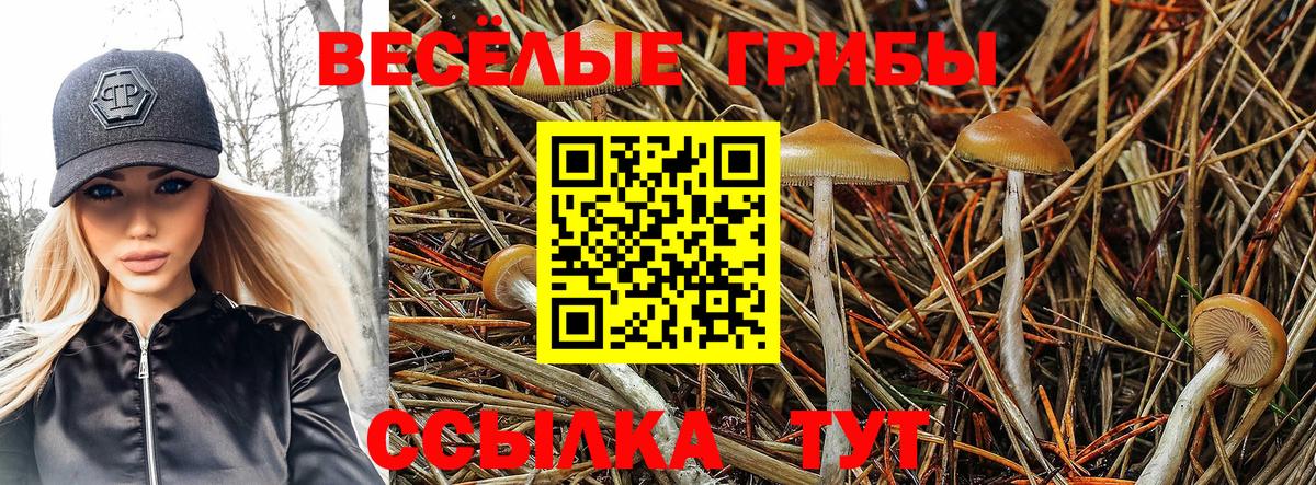 Псилоцибиновые грибы ЛСД Ногинск